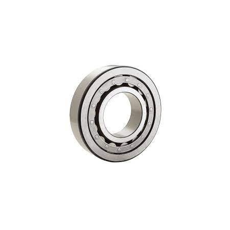 CONSOLIDATED Cylindrical Roller Bearing. RLS13